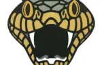 Mapepire: A Modern Approach to Db2 for i